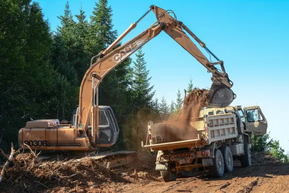 Rajabets Casino Supporto